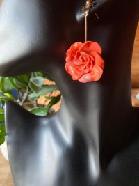 IMG 5615 resize